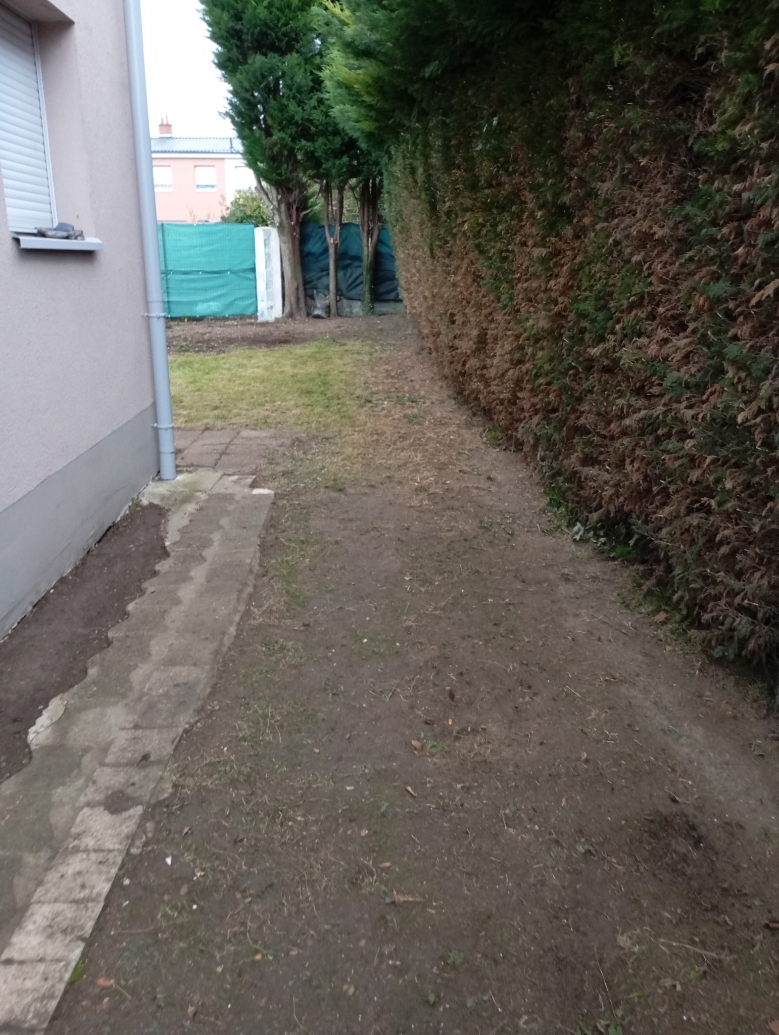 Entretien complet des espaces verts