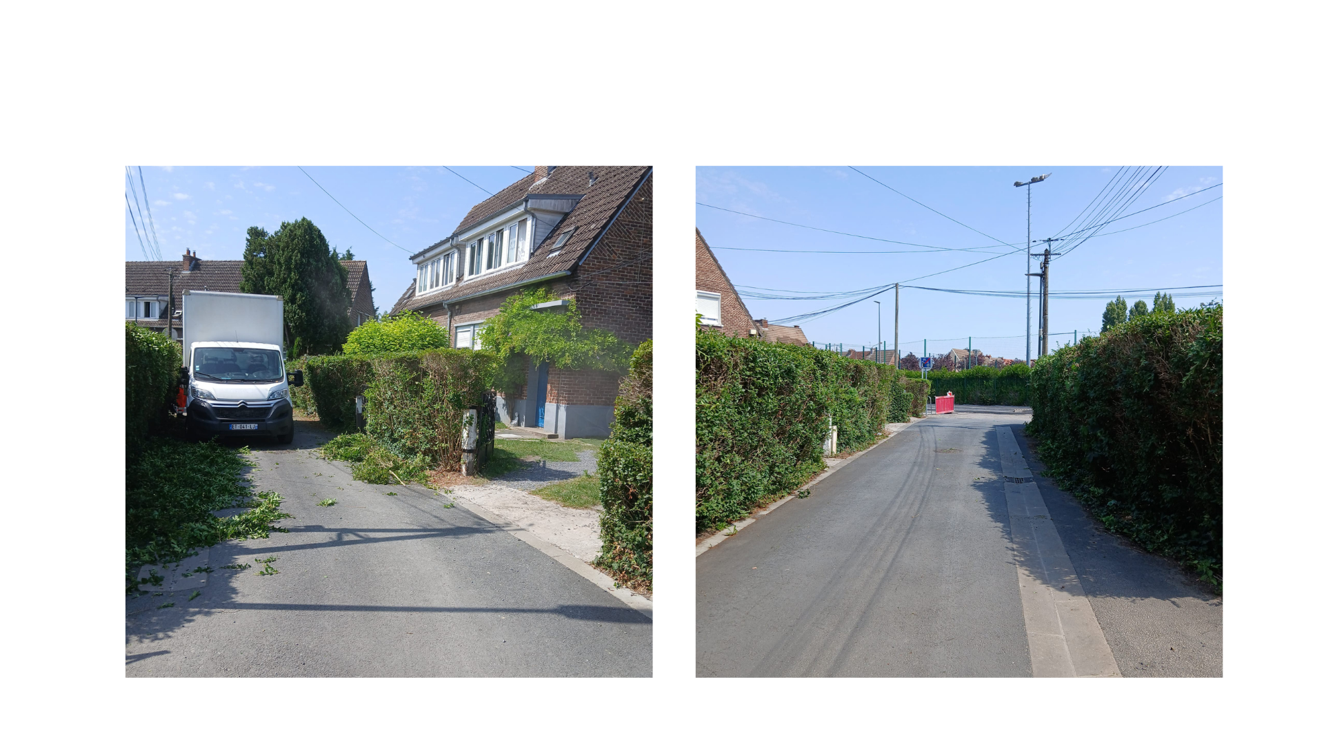 taille haies et évacuation déchets verts après intervention pour Vilogia à Wattrelos