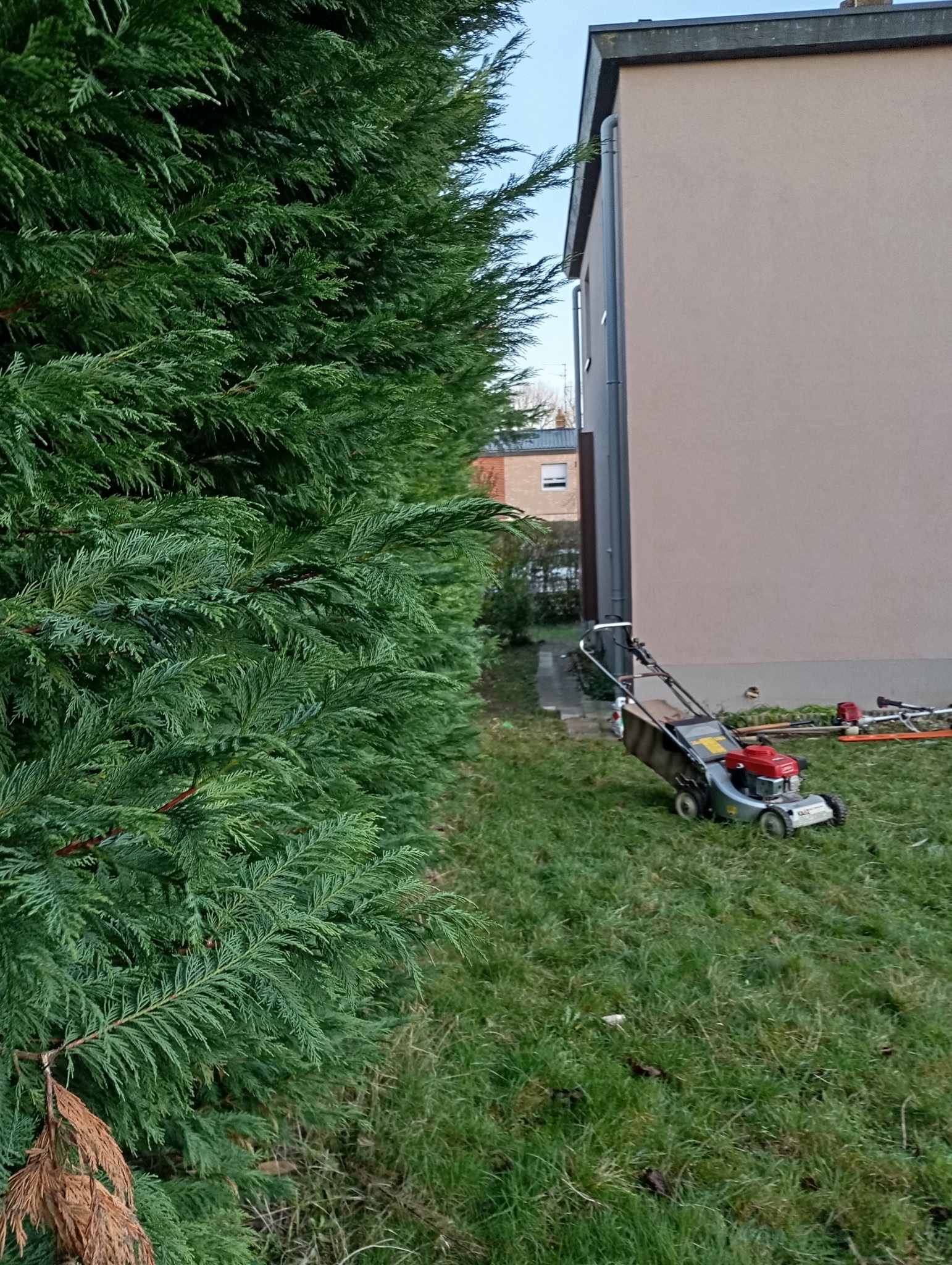 Avant pelouse Nord 59