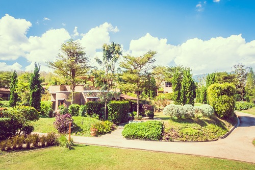 Entretien et aménagement des espaces verts par PIEVK