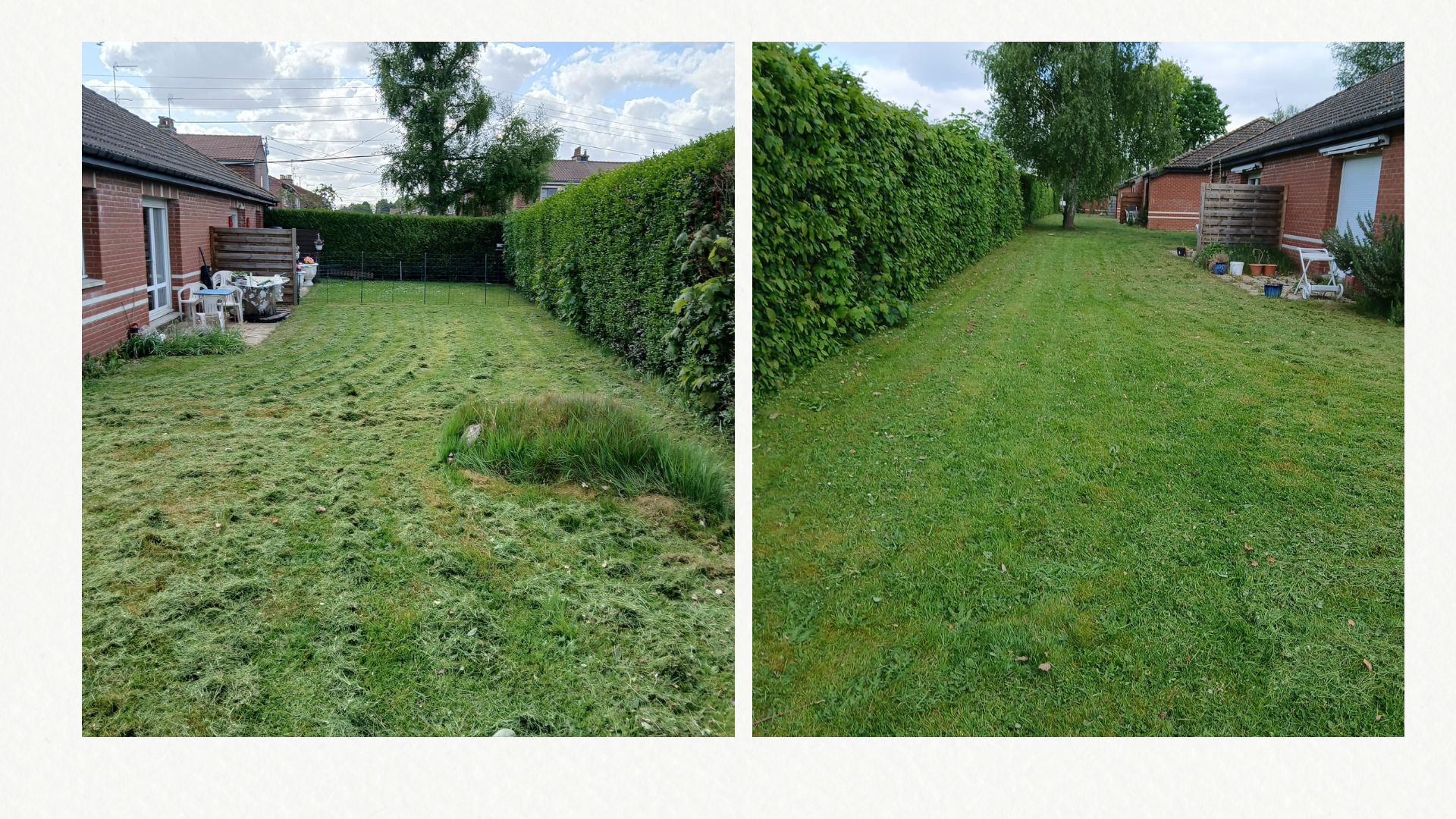 Avant et après tonte pour Vilogia Wattrelos