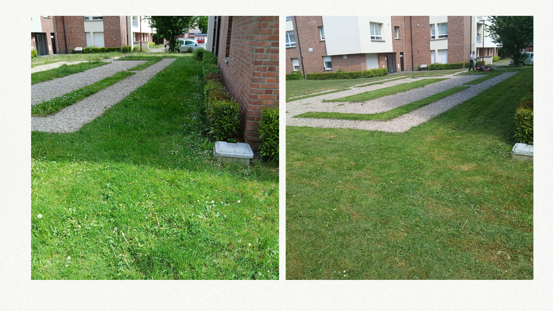 Tonte pour Vilogia Wattrelos